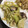 クックZ8J4H4☆'s cooksnap of when they made ささっと簡単！オイルサーディン野菜炒め.