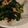 柴わんこコロ's cooksnap of when they made 材料2つだけ！ほうれん草のツナ炒め.