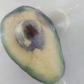 gogators's cooksnap of when they made *アボカドの保存*.
