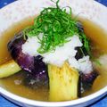Bioraママの料理's cooksnap of when they made なすの揚げびたし.