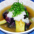 Bioraママの料理's cooksnap of when they made なすの揚げびたし.