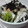 ちびこママ*'s cooksnap of when they made 水菜と長芋のさっぱり和え.