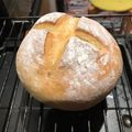 フジまこ's cooksnap of when they made てごねで！ふわふわカンパーニュ.