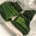 コロどろっぷ's cooksnap of when they made ほうれん草 保存メモ.