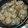 げんき065's cooksnap of when they made ひき肉とれんこんそぼろ.