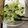 モッパ's cooksnap of when they made 旬の野菜で　ツナサラダ【保育園給食】.