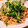 飯テロのちゃま尊's cooksnap of when they made ☆簡単☆ベーコンとほうれん草の和風パスタ.