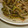 なないろの雪's cooksnap of when they made シンプル副菜　ゴーヤともやしの塩昆布炒め.