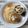 CANADOLL's cooksnap of when they made 簡単！ナッツ&クリームチーズ•スプレッド.