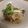 古賀竜一's cooksnap of when they made 新玉ねぎと牛すね肉のスープ煮.
