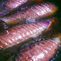yyy。's cooksnap of when they made 簡単ナスの揚げ浸し・めんつゆ.