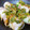 ダビデンコ's cooksnap of when they made 今が旬！ネギの肉巻き #今晩のおかず#.