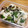 シェリーlᵒᵛᵉϋෆ's cooksnap of when they made カブと塩昆布の酢の物.