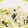 チョコさく's cooksnap of when they made ☆もやしとほうれん草のごまあえ☆.