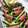 パパの手料理☆'s cooksnap of when they made 超簡単!　きゅうりのボロニアハム巻き.