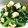 ♡こもれび♡'s cooksnap of when they made 春菊のおろし和え.