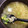 nyaと未就学児3人's cooksnap of when they made たまねぎと枝豆のコンソメスープ.