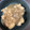 クックZ8J4H4☆'s cooksnap of when they made ♡ 里芋と大根のそぼろあんかけ煮 ♡.