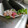 なかよしﾘﾝｺ♥️'s cooksnap of when they made 節分の恵方巻きに！七福海鮮サラダ巻き.