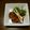 りこまこせいやのパパ's cooksnap of when they made たこの入ってない....たこ焼き.
