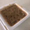 papikun's cooksnap of when they made お漬物✿マヨ✿納豆ご飯.