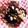curisupin's cooksnap of when they made 節分の豆で　懐かし＊香ばし豆菓子　−Ⅱ.