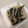 papikun's cooksnap of when they made 手軽で飽きない　我が家定番お餅の食べ方.