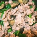 ティアリン's cooksnap of when they made ナスと豚バラの生姜焼き.