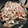 pekorinn's cooksnap of when they made すぐできる！！おいしい大根炒め.