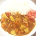 ぴちた☆'s cooksnap of when they made 手軽調味料＊ルーからカレー＊粉から簡単＊.