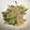 yummy?'s cooksnap of when they made きゅうりとえのきの中華風酢の物.