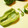アイリッシュショコラ's cooksnap of when they made ピーマンのヘタと種を簡単に取る切り方.