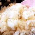 ふたごママちゃん's cooksnap of when they made レンジでチン簡単すし酢☆すし飯.