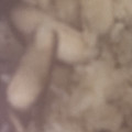ma___111's cooksnap of when they made 豚肉と椎茸の炊き込みご飯.