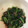 クックBN5HDW☆'s cooksnap of when they made ほうれん草と干しエビのお浸し.