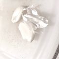 ame-ikuru's cooksnap of when they made アメリカ流？にんにくの皮のむきかた.