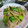 クックY6P7T5☆'s cooksnap of when they made ごぼうモリモリ！豚肉とごぼうの甘辛炒め.