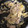 クックZ8J4H4☆'s cooksnap of when they made 豚肉と白菜の和風ごまみそ炒め.