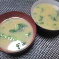 ジョングレ's cooksnap of when they made 栄養たっぷり♪大根の葉の味噌汁.