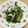 トムラウシ's cooksnap of when they made ワカメとターサイの マヨネーズ和え.
