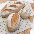 パンダ達の母です。's cooksnap of when they made ライ麦のソフトパン生地☆扱いやすい☆.