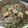 えどぢろ's cooksnap of when they made 鶏もも肉で！鶏そば.