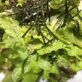 amileamila's cooksnap of when they made サニーレタスのあっさりサラダ.
