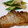 クック6DDPP8☆'s cooksnap of when they made 簡単☆豚ロースのみそ漬け焼き.