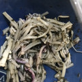 ちいこ・やまだ's cooksnap of when they made えのきのゆかり和え★.