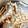momo_11's cooksnap of when they made さわらの煮付け.