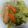 クックZD3CWA☆'s cooksnap of when they made 寒い冬にいかが？野菜たっぷりポトフでも！.
