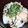 プルンバゴ's cooksnap of when they made 塩鮭と塩昆布で☆安い・簡単まぜご飯.