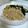 kinoco...'s cooksnap of when they made 応用がきく鶏みそ.