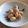Remtan's cooksnap of when they made あっさり酢豆.